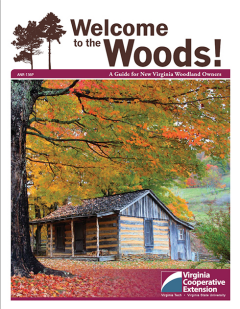 Welcome to the Woods!