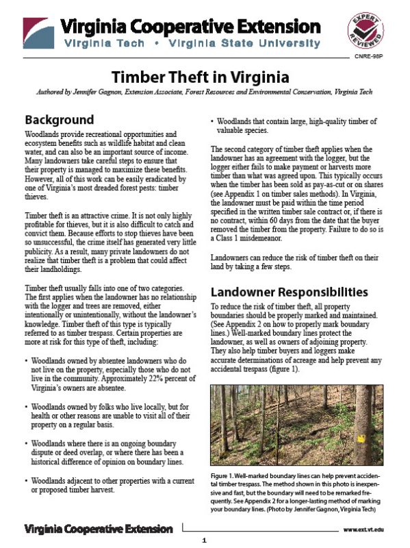 Timber Theft Publication