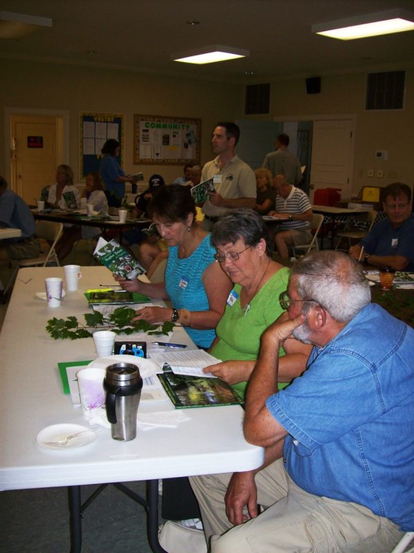 Participants use a key to identify plants.
