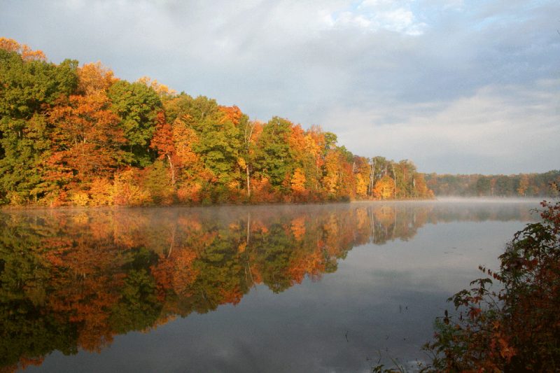 A lake bordered by a colorful hardwood forest in the fall.