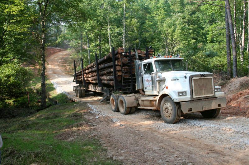 Large truck full of logs driving through the woods.