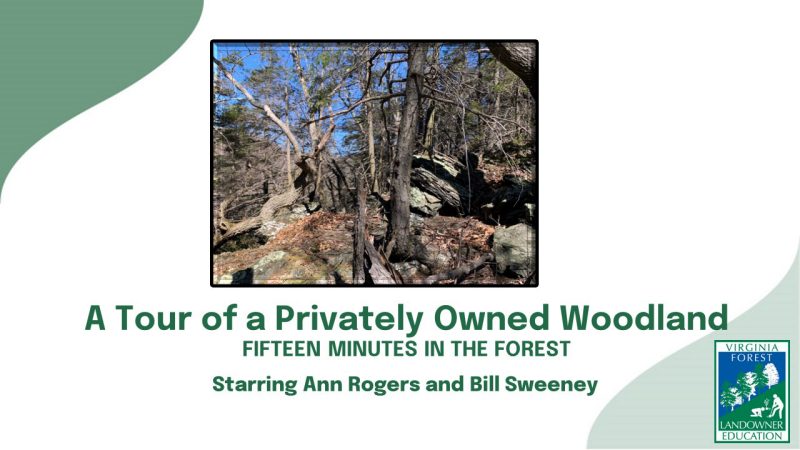 Screen shot of a slide with an outdoor scene and Fifteen Minutes in the Forest  A Tour of a Privately Owned Woodland 
