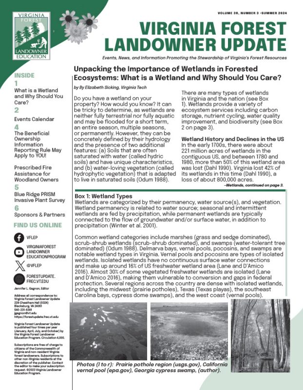 Cover of Summer 2024 VFLU Newsletter
