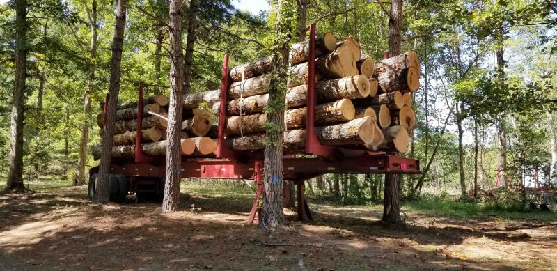 Large truck full of logs parked in the woods. 
